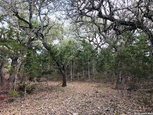 5.19 acres in Bandera County gallery image 2