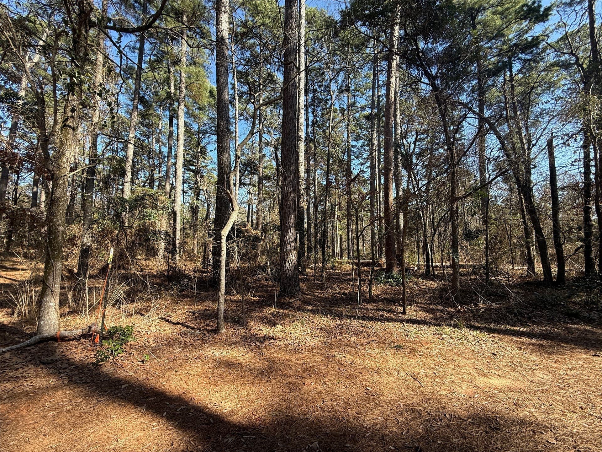 0.78 acres in Wood County - photo 2