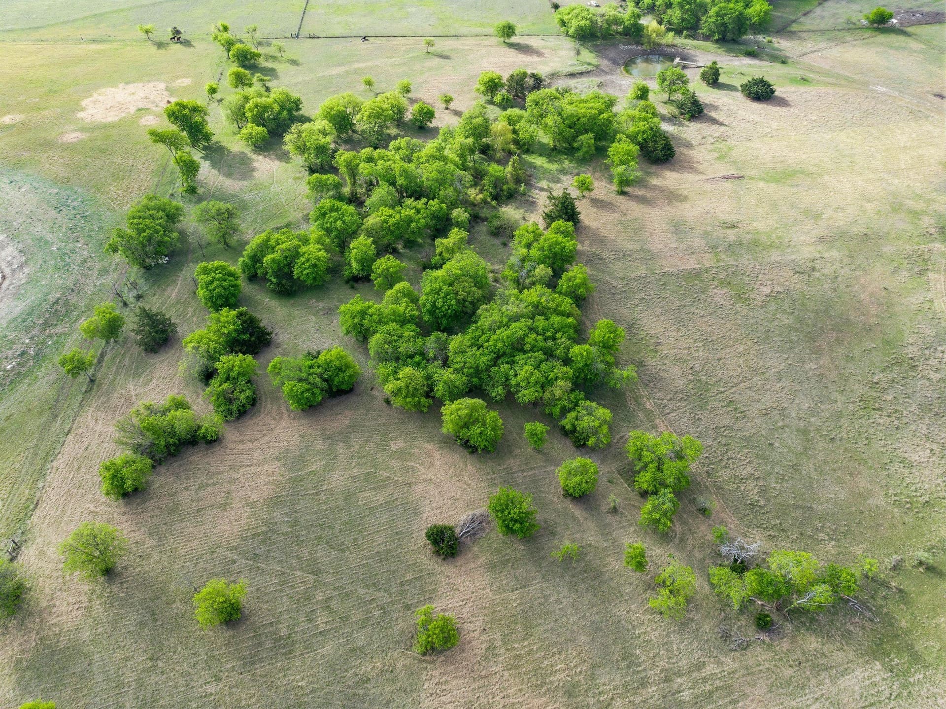 24.5 acres in Hill County - photo 10