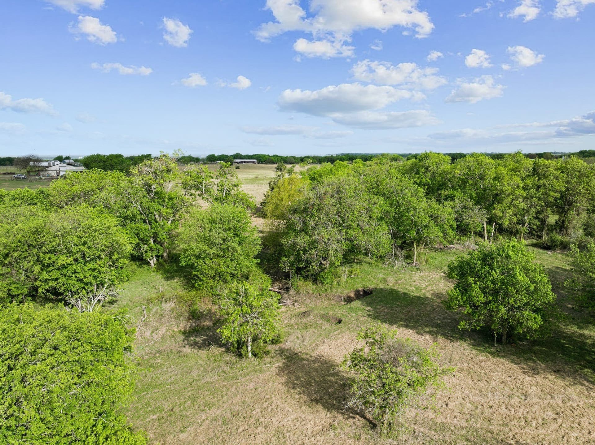 24.5 acres in Hill County - photo 9