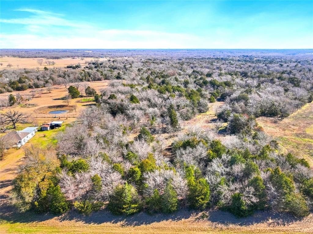 35.8 acres in Freestone County gallery image 3