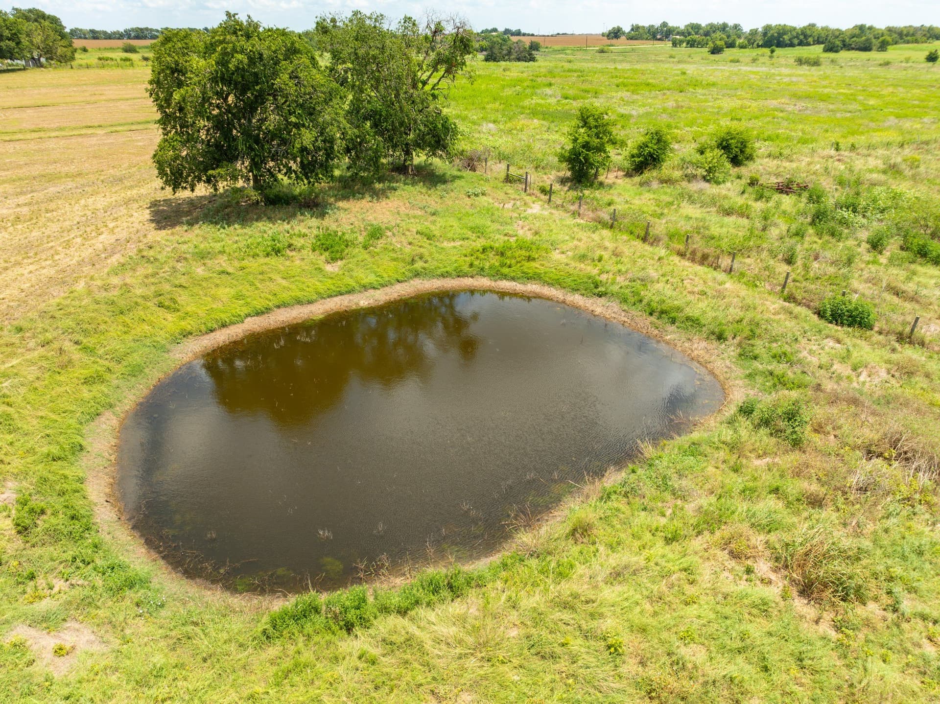 43 acres in Bell County - photo 5