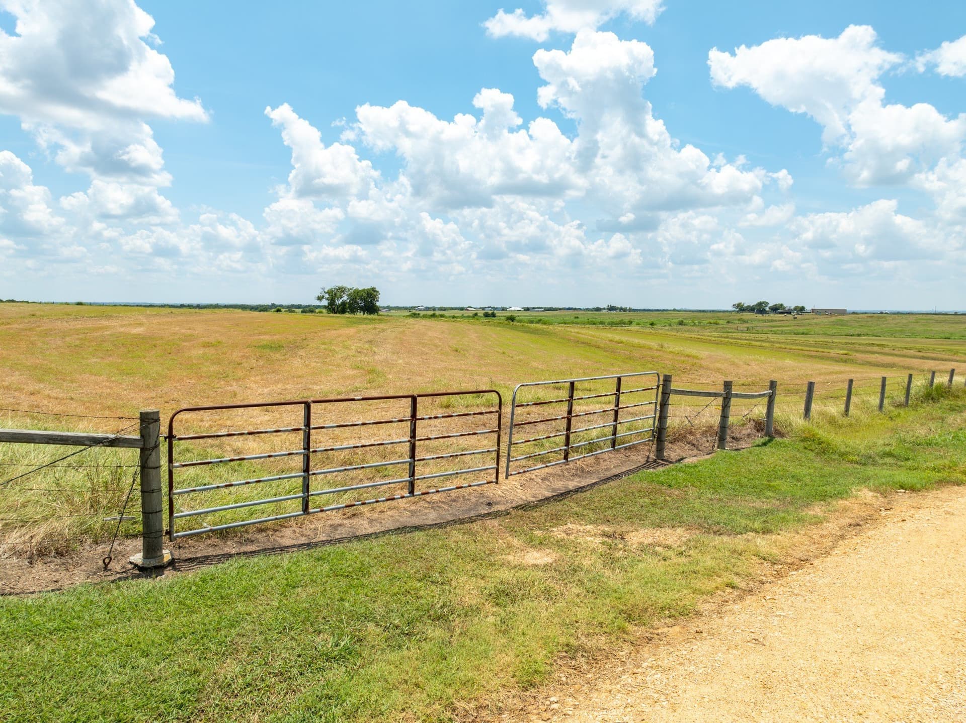 43 acres in Bell County - photo 9