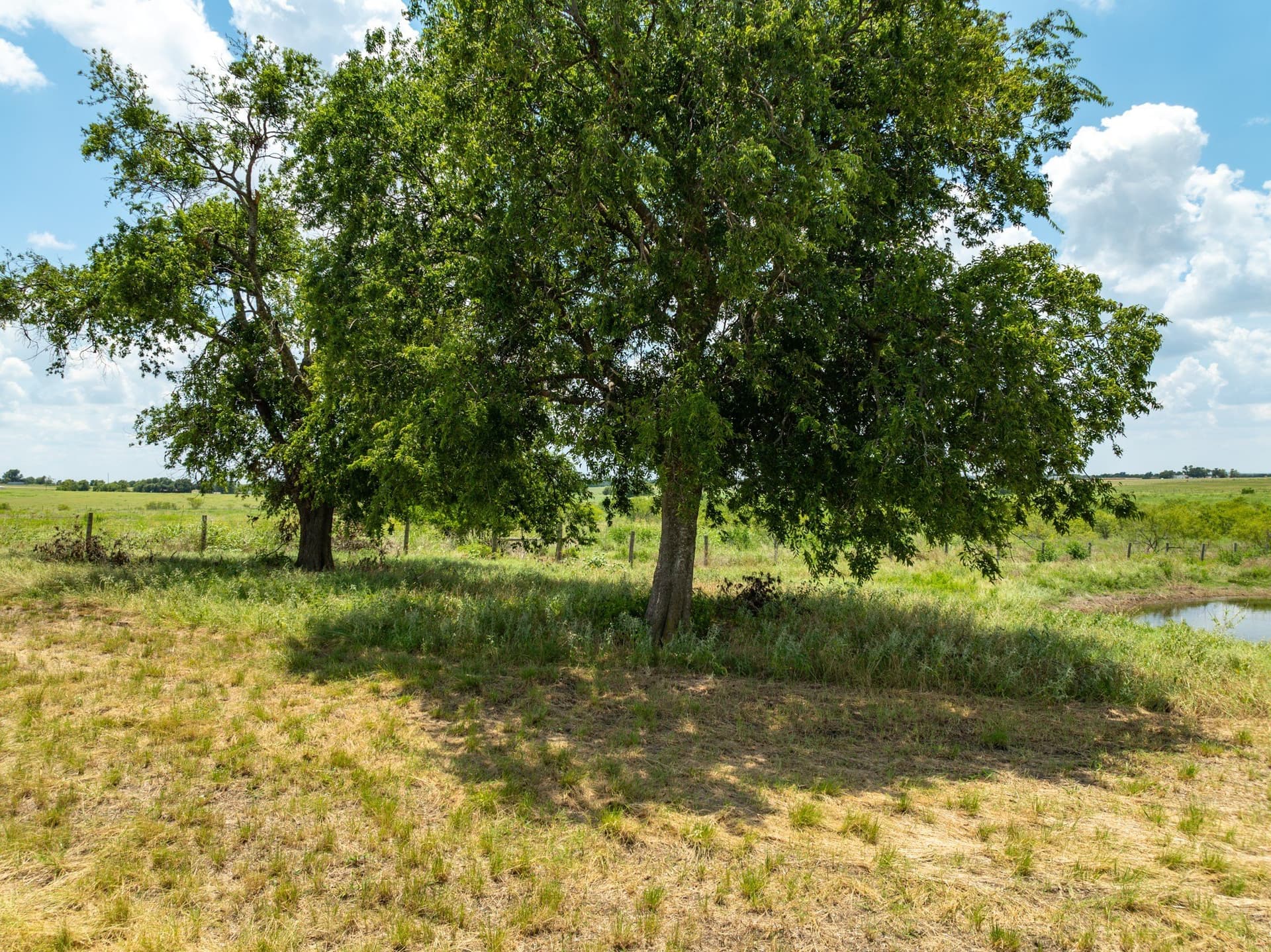 43 acres in Bell County - photo 6