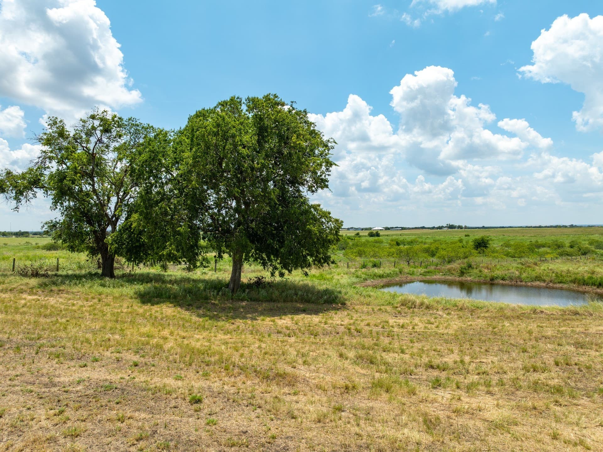 43 acres in Bell County - photo 7