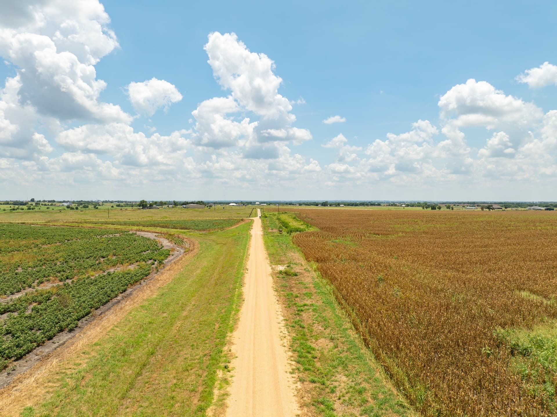 43 acres in Bell County