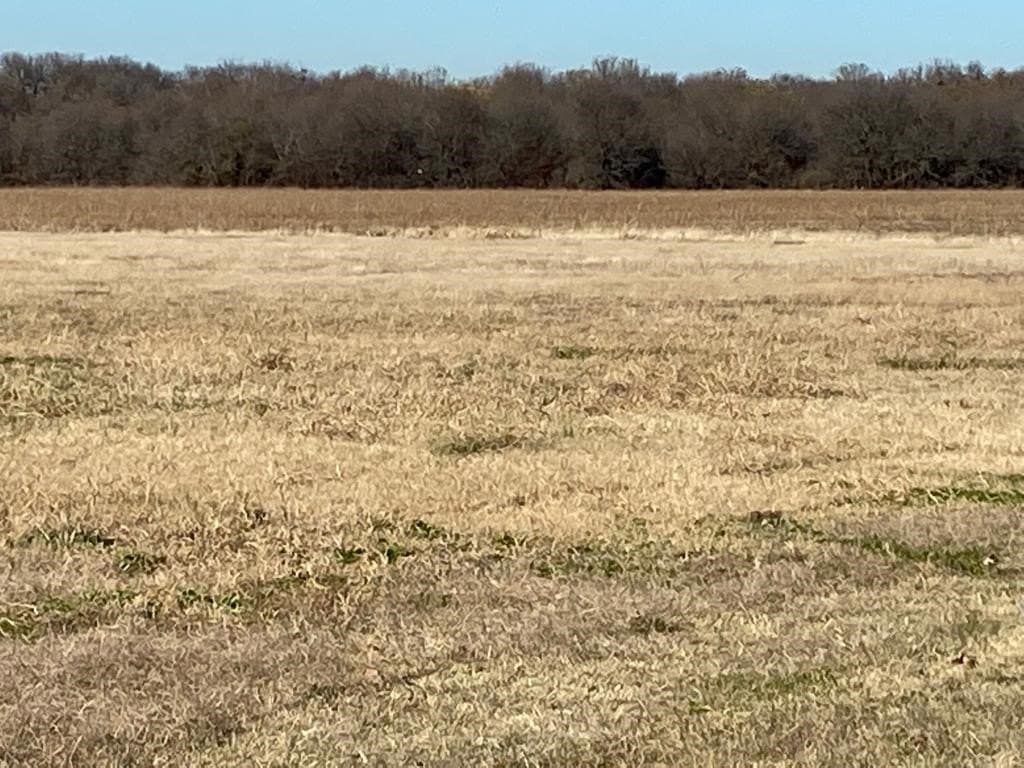 22.37 acres in Grayson County - photo 3