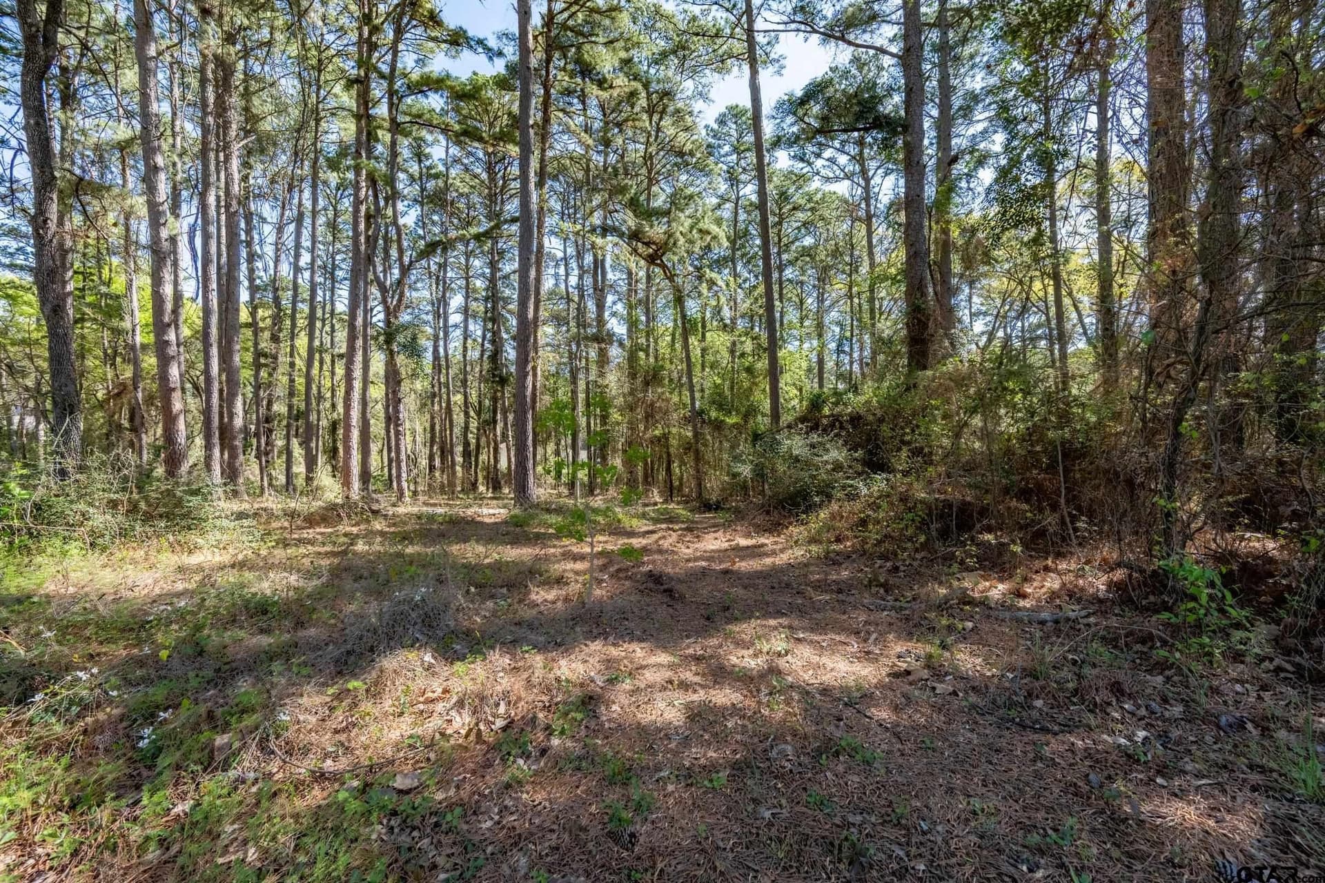 1 acres in Smith County - photo 11
