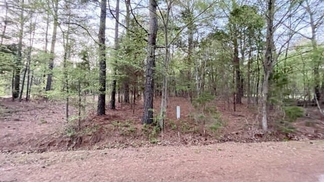 0.11 acres in Franklin (TX) County gallery image 2