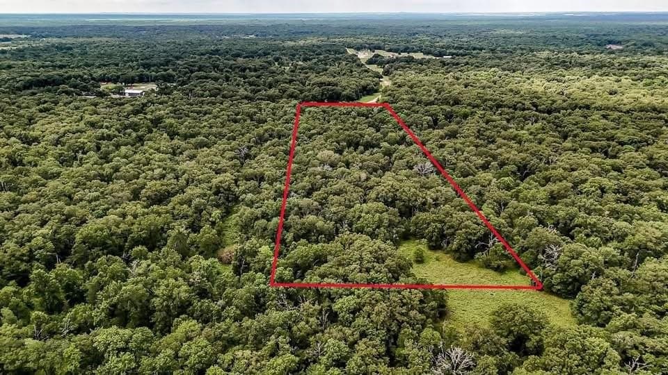 10 acres in Anderson County gallery image 3