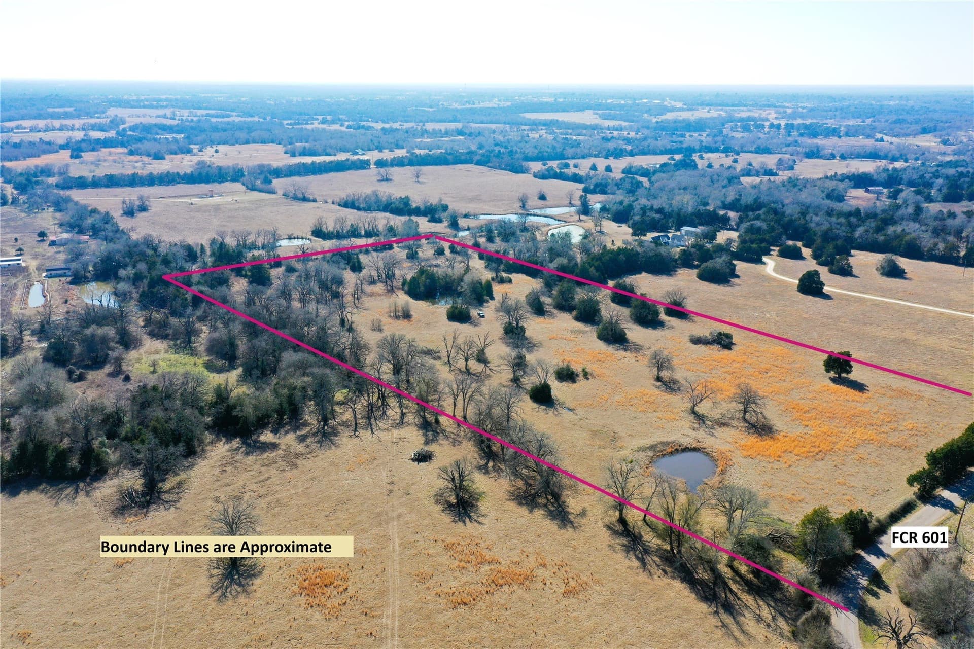 14.4 acres in Freestone County gallery image 3