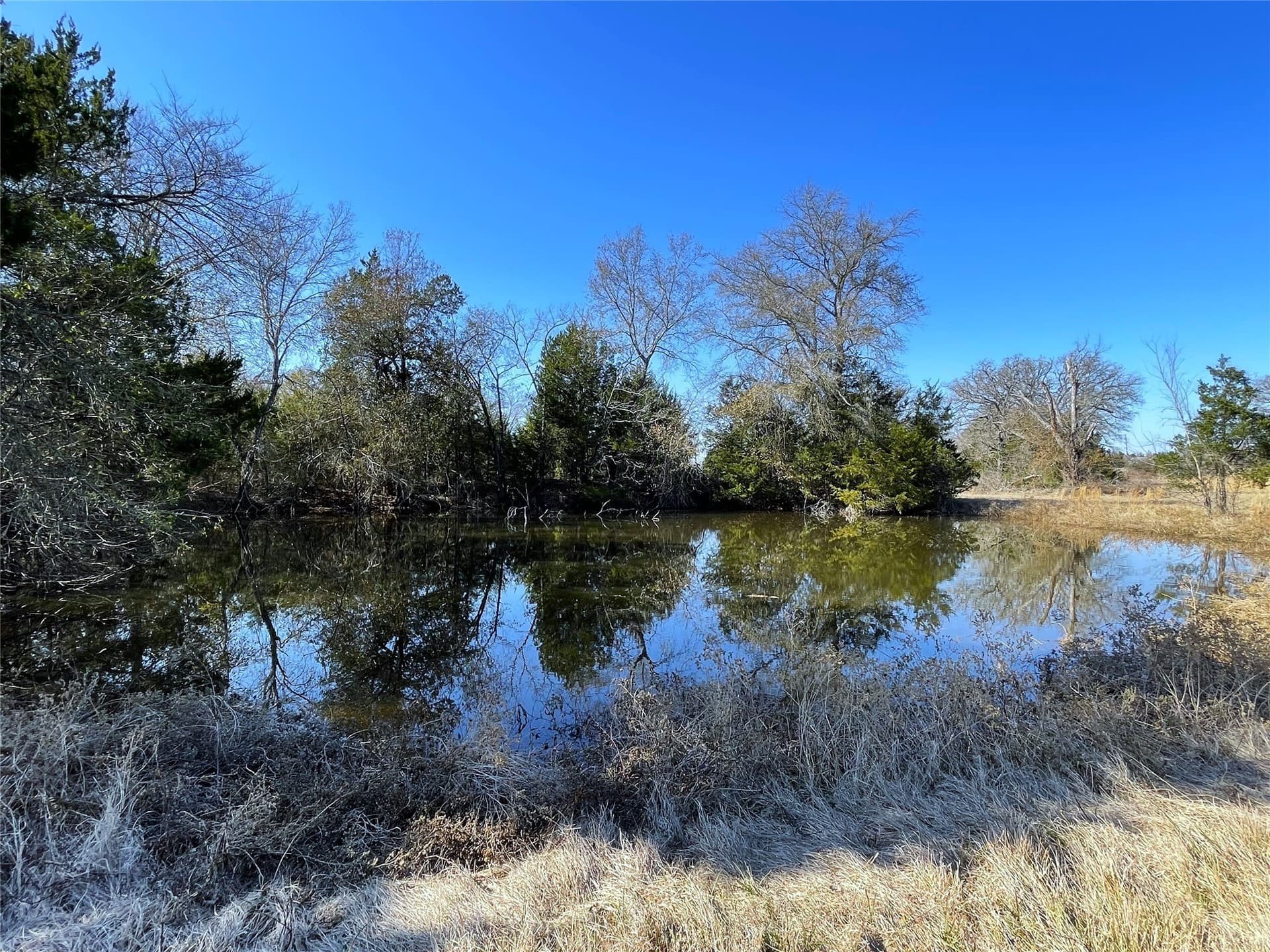 14.4 acres in Freestone County gallery image 4