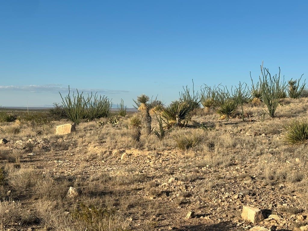 20.01 acres in Hudspeth County - photo 16