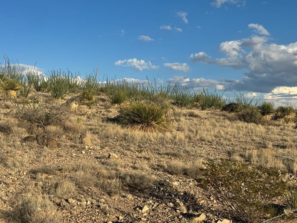 20.01 acres in Hudspeth County - photo 18