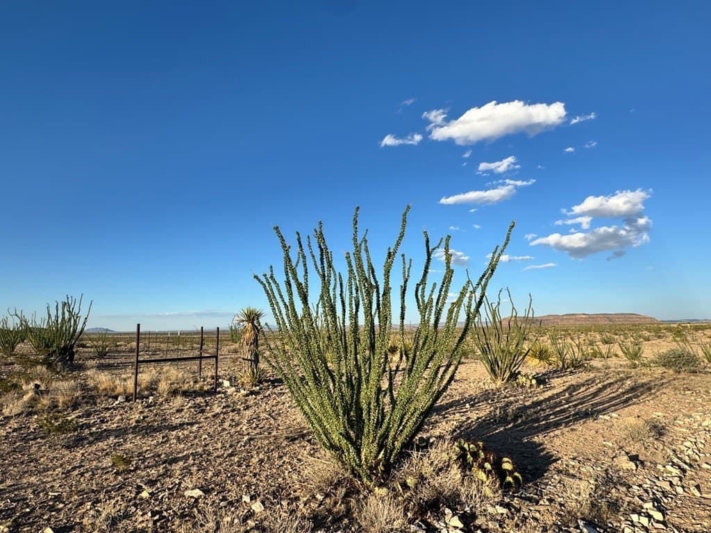 20.01 acres in Hudspeth County - photo 19