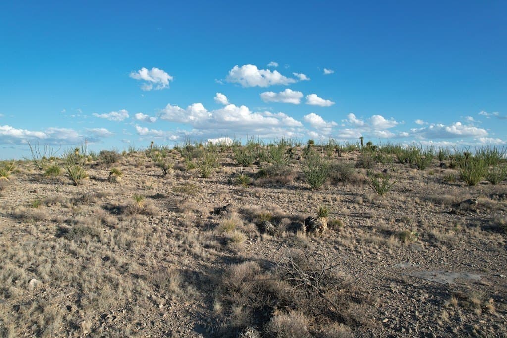 20.01 acres in Hudspeth County gallery image 4