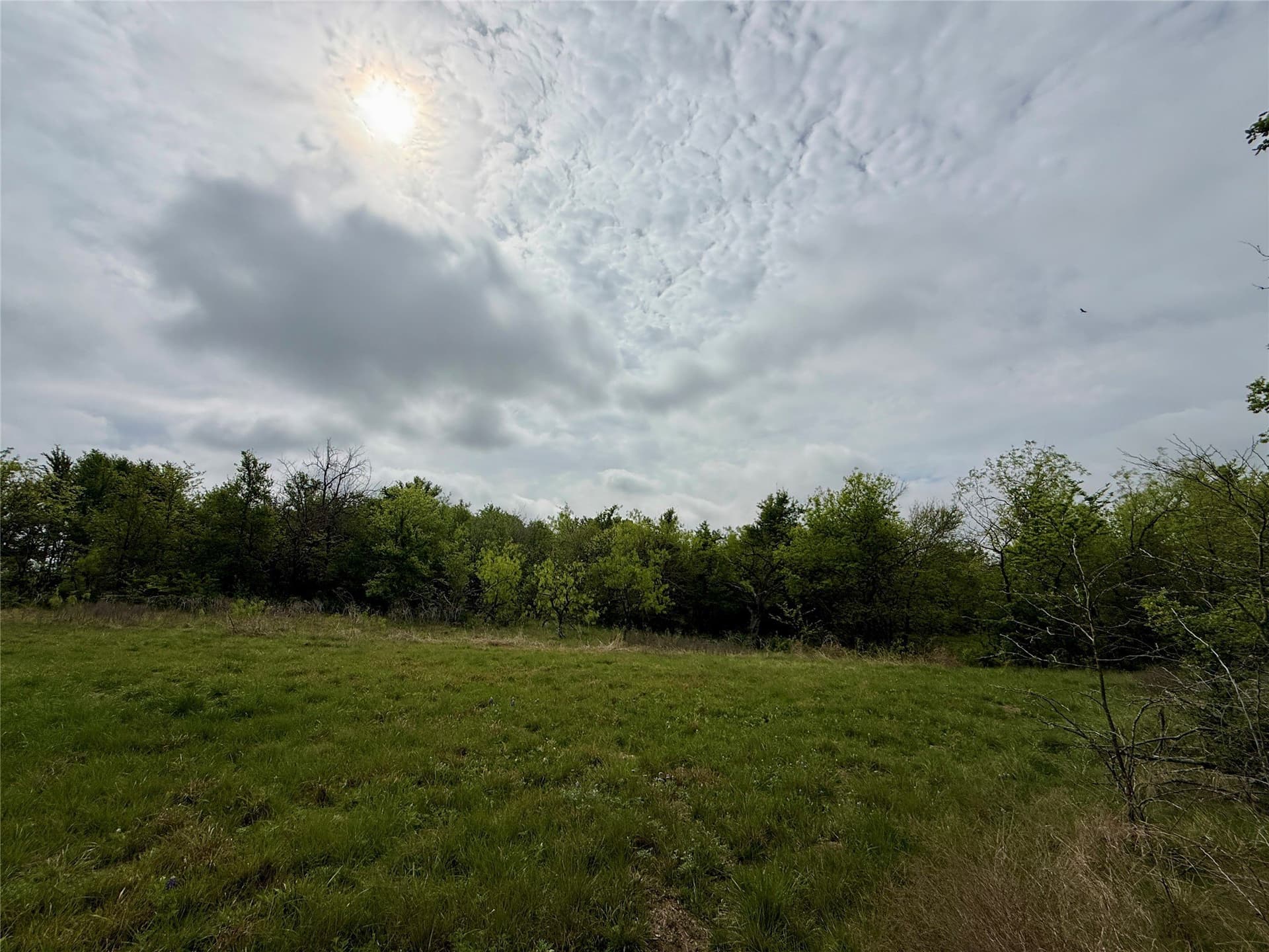 2.57 acres in Navarro County - photo 8