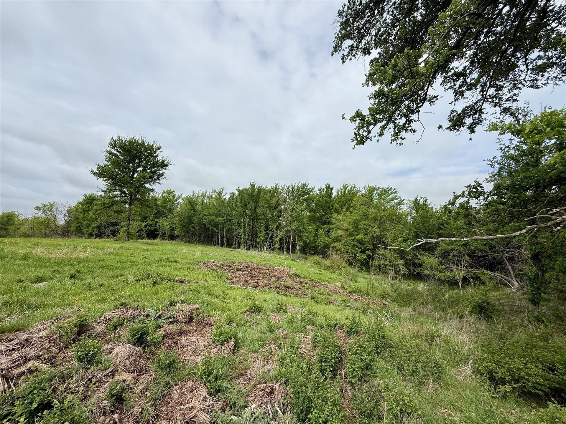 2.57 acres in Navarro County - photo 20