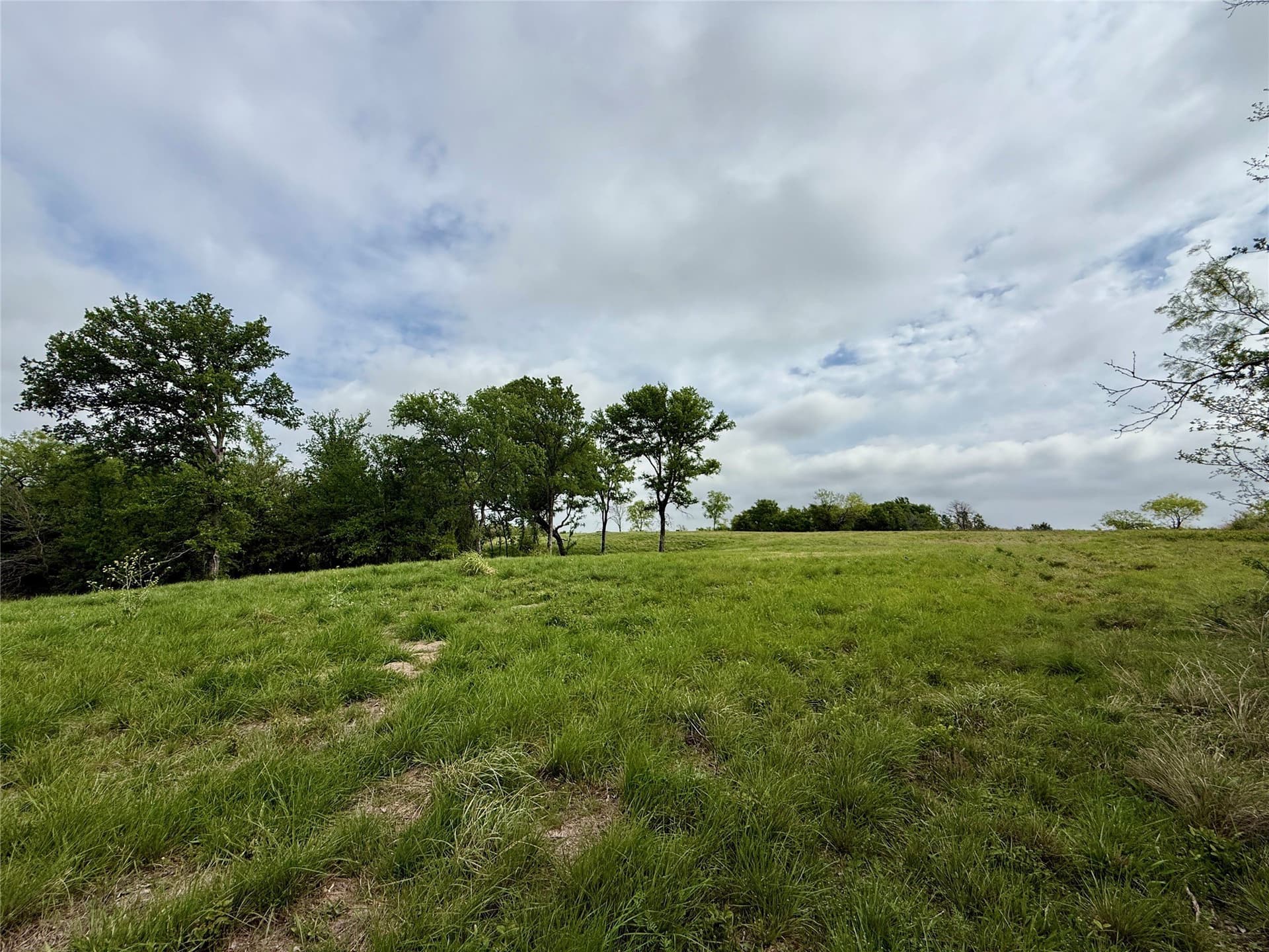 2.57 acres in Navarro County - photo 15