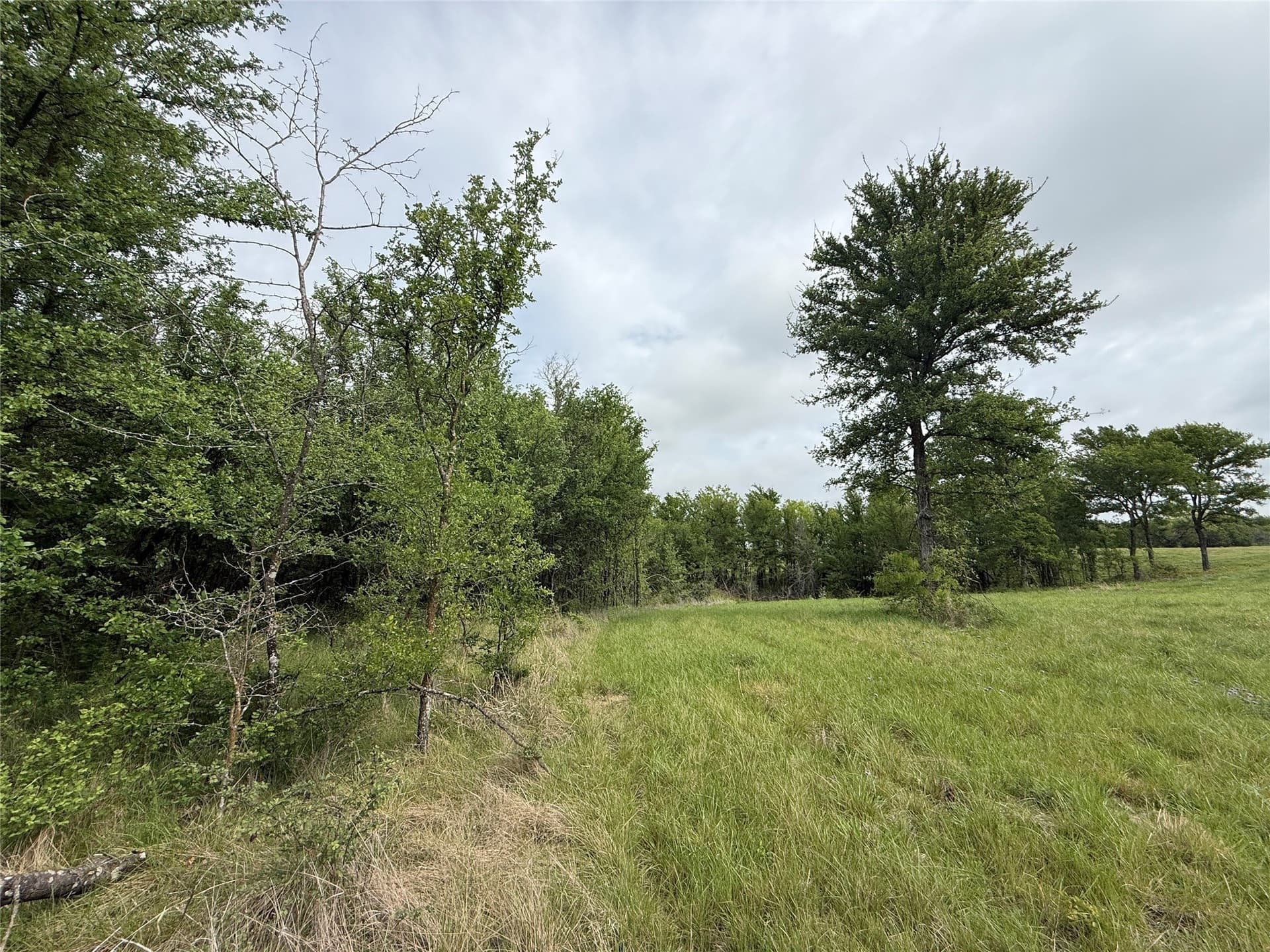 2.57 acres in Navarro County - photo 7