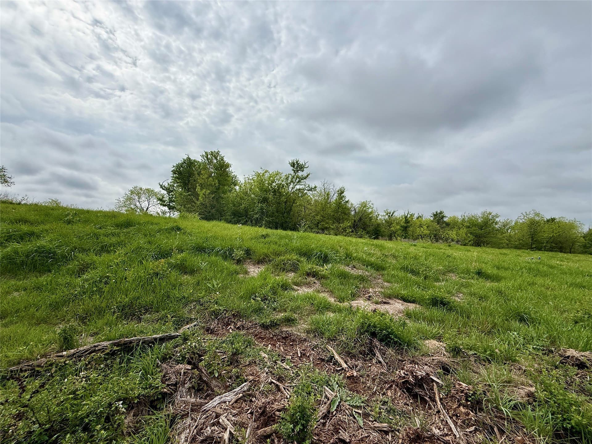 2.57 acres in Navarro County - photo 18