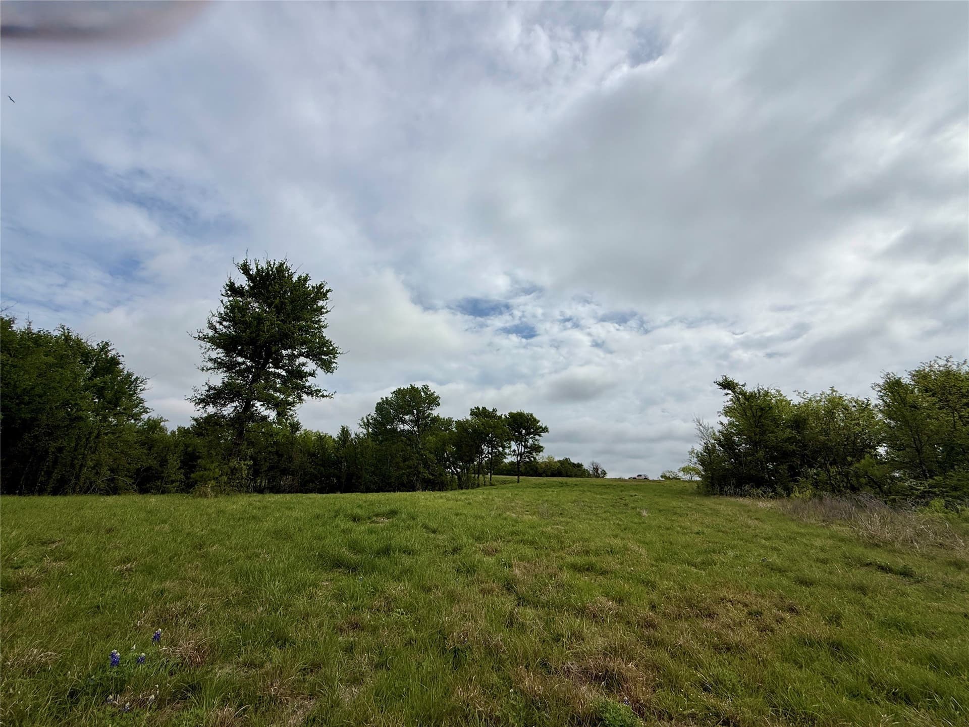 2.57 acres in Navarro County - photo 9
