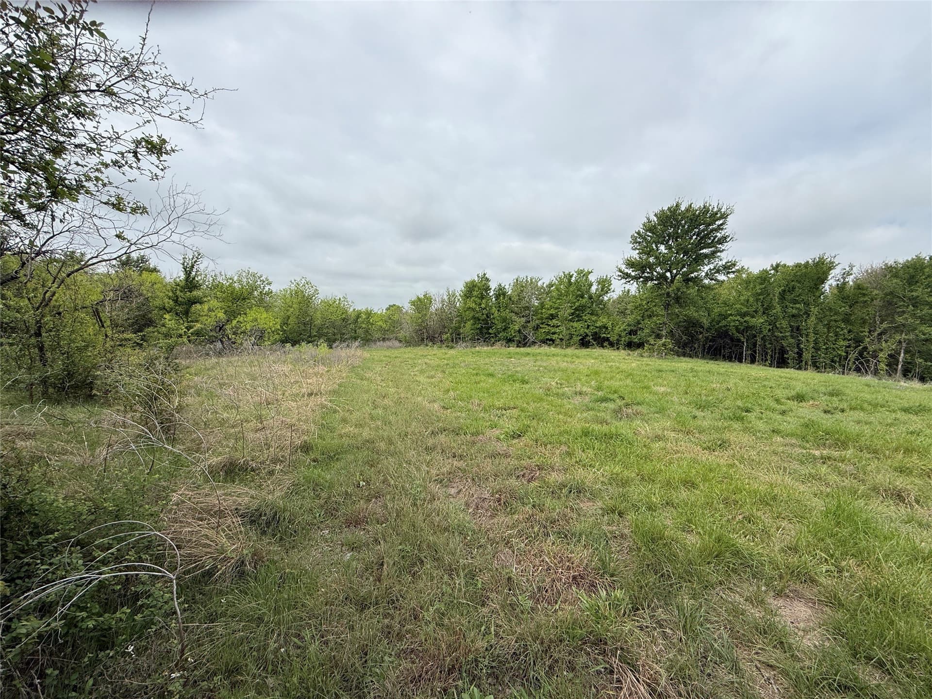 2.57 acres in Navarro County - photo 12