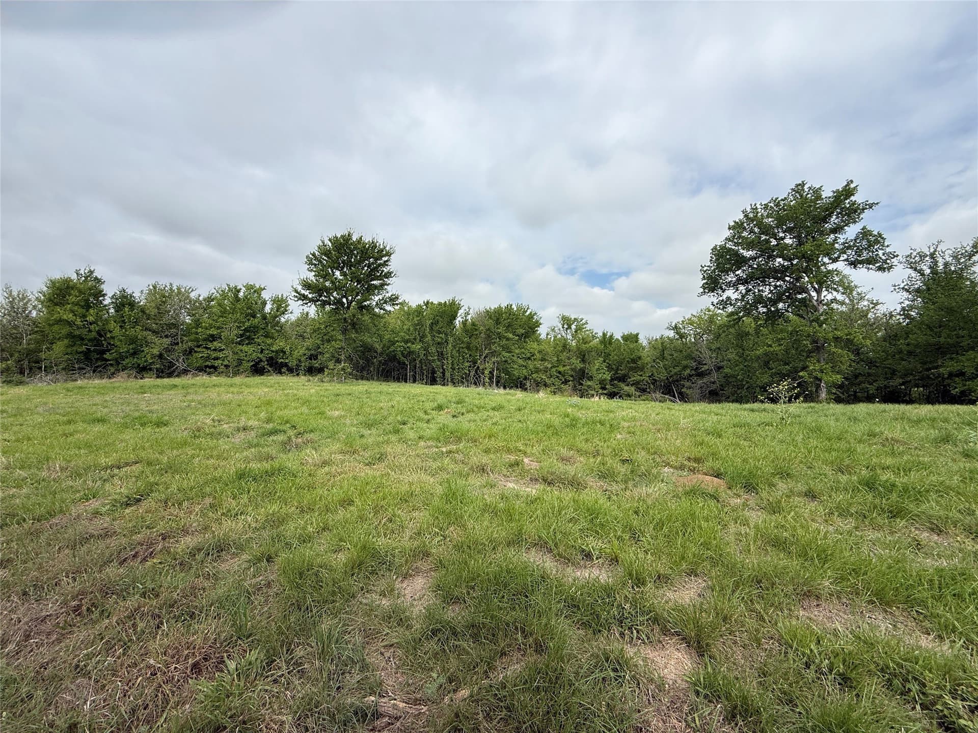 2.57 acres in Navarro County - photo 10