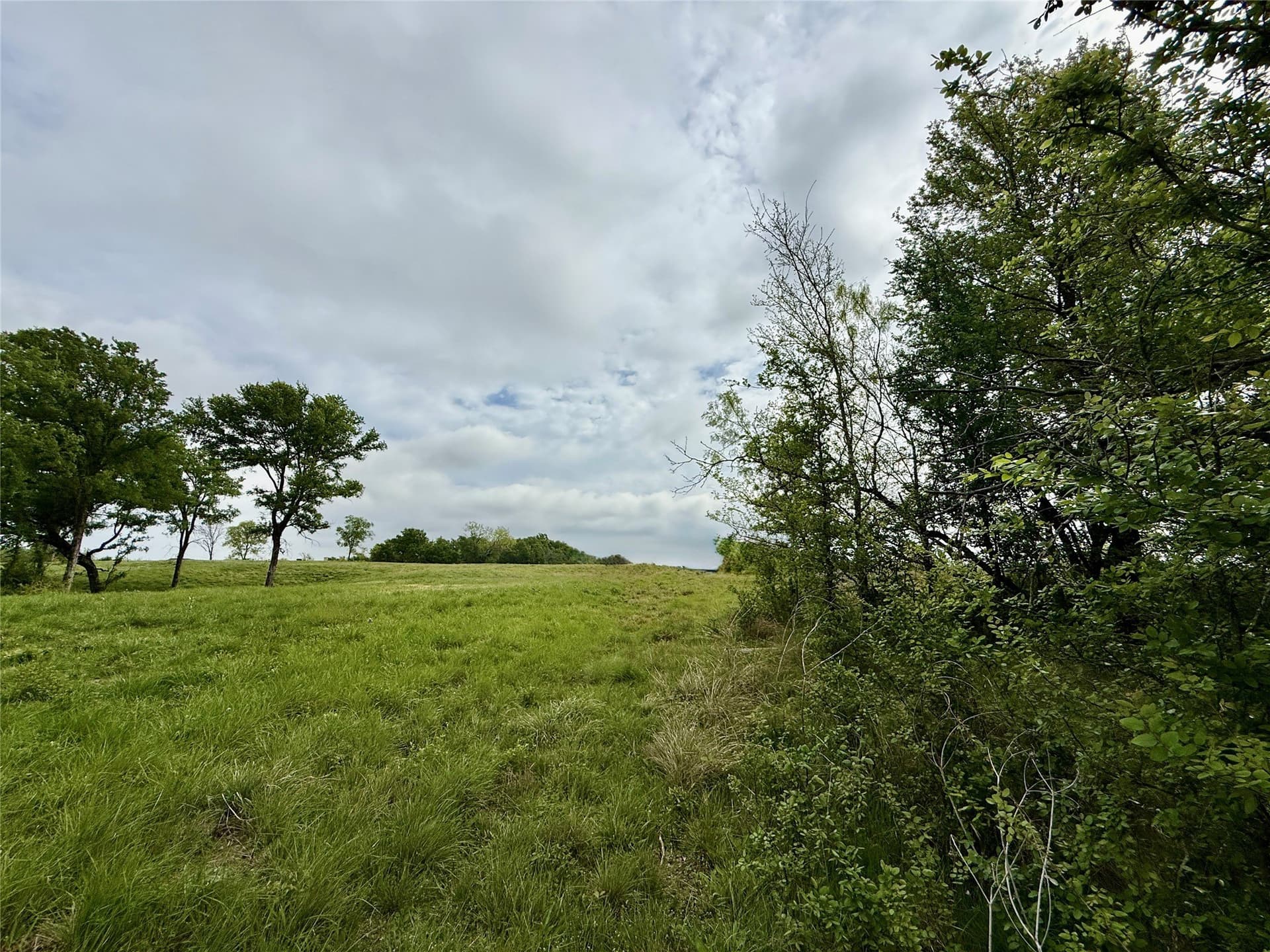 2.57 acres in Navarro County - photo 14