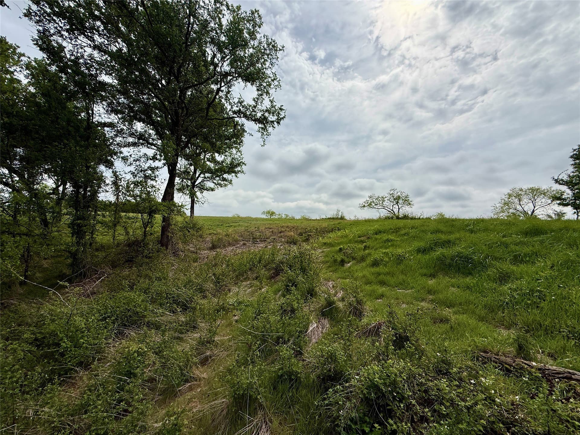 2.57 acres in Navarro County - photo 17