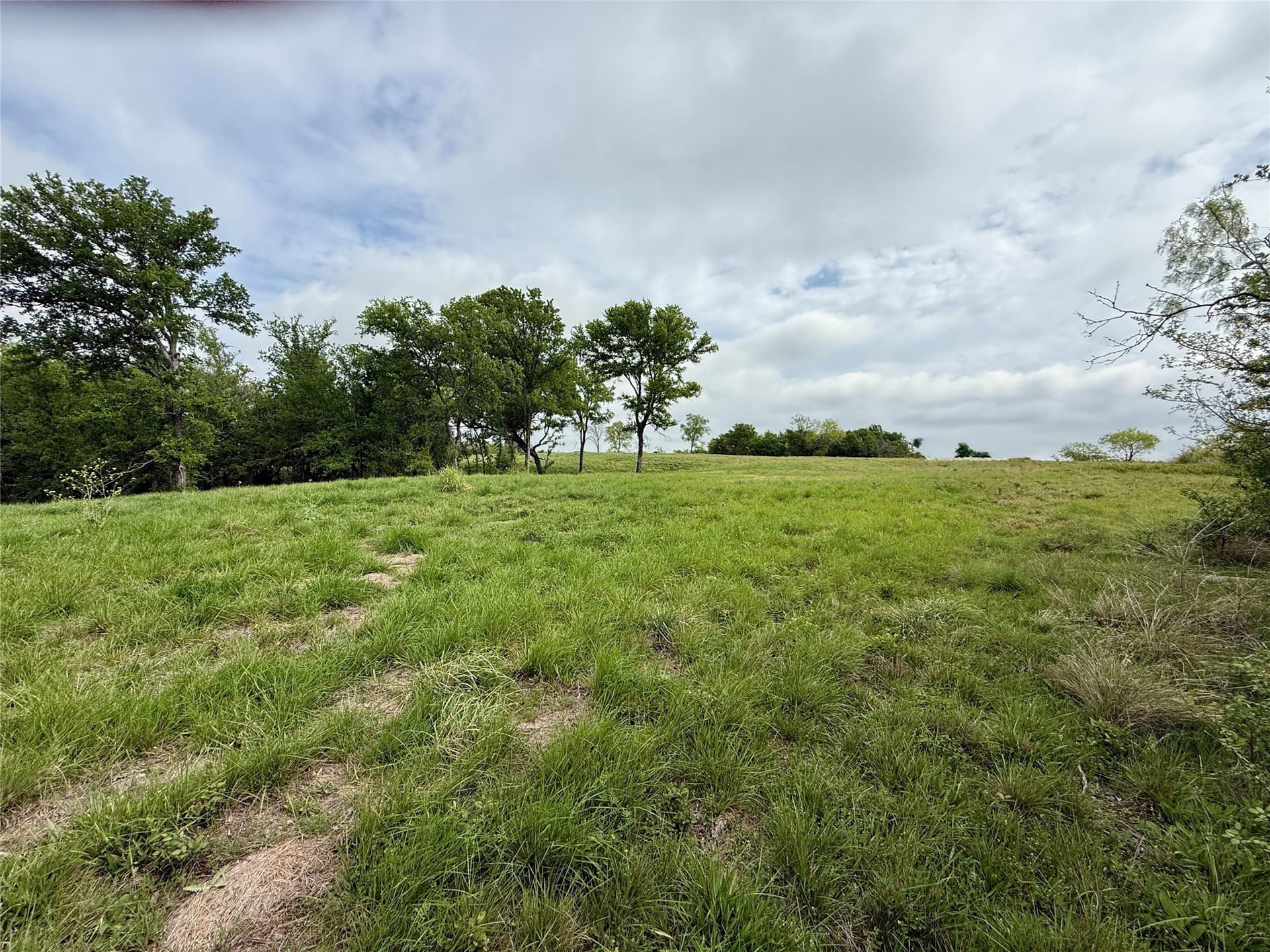 2.57 acres in Navarro County - photo 13