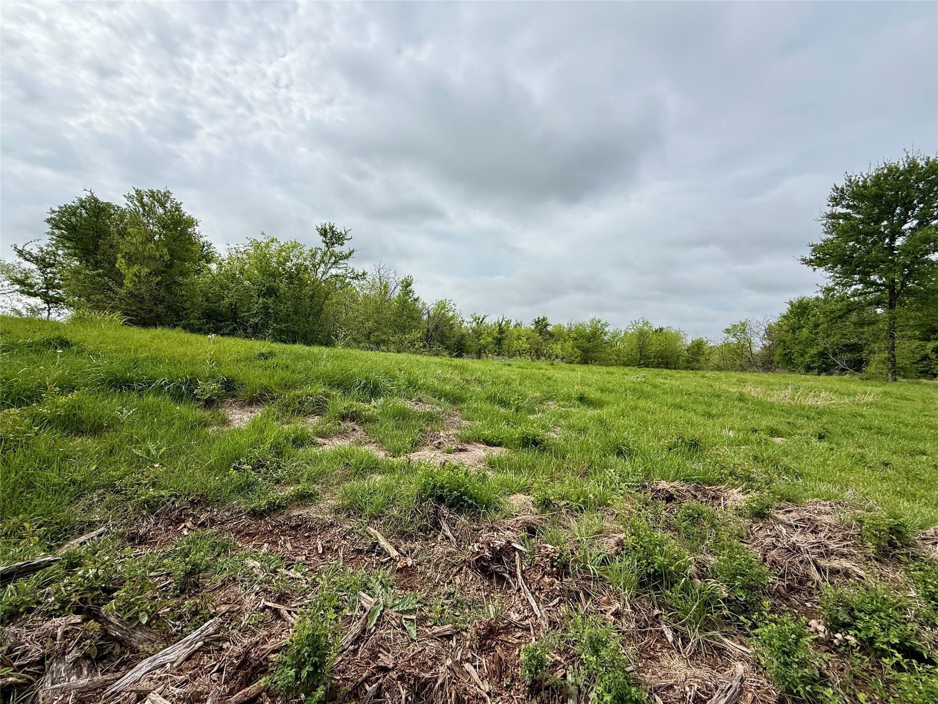 2.57 acres in Navarro County - photo 19