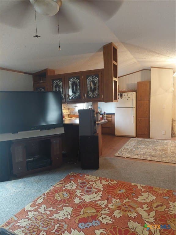 10 acres in San Patricio County - photo 10