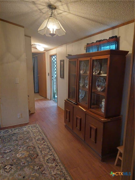 10 acres in San Patricio County gallery image 4