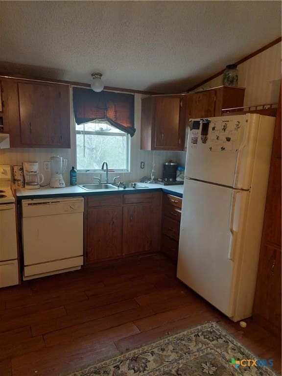 10 acres in San Patricio County featured view