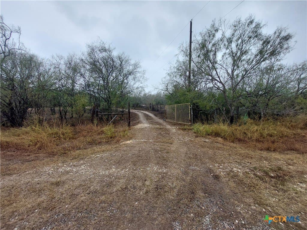 10 acres in San Patricio County gallery image 2