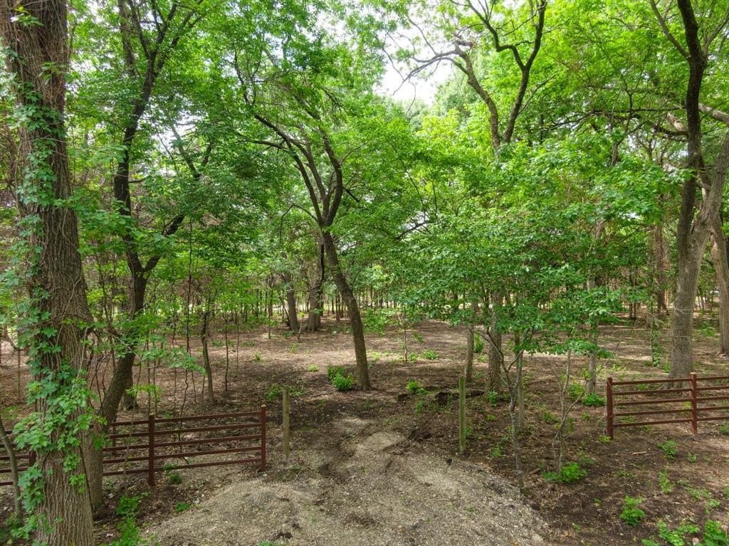 7.53 acres in Ellis County gallery image 2