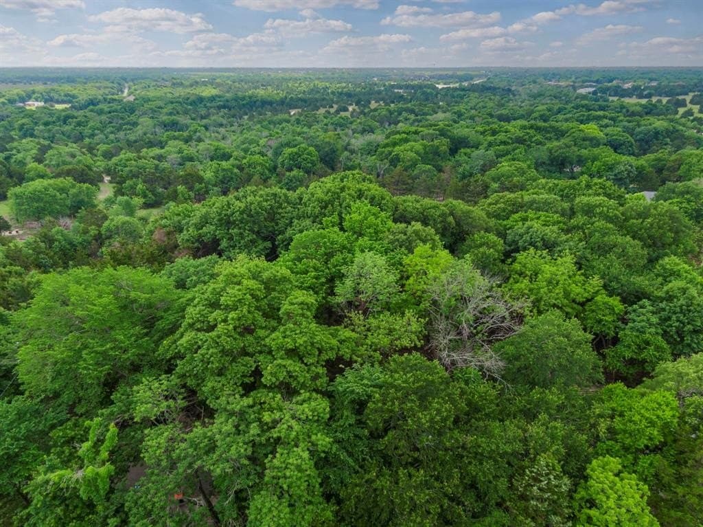 7.53 acres in Ellis County gallery image 4