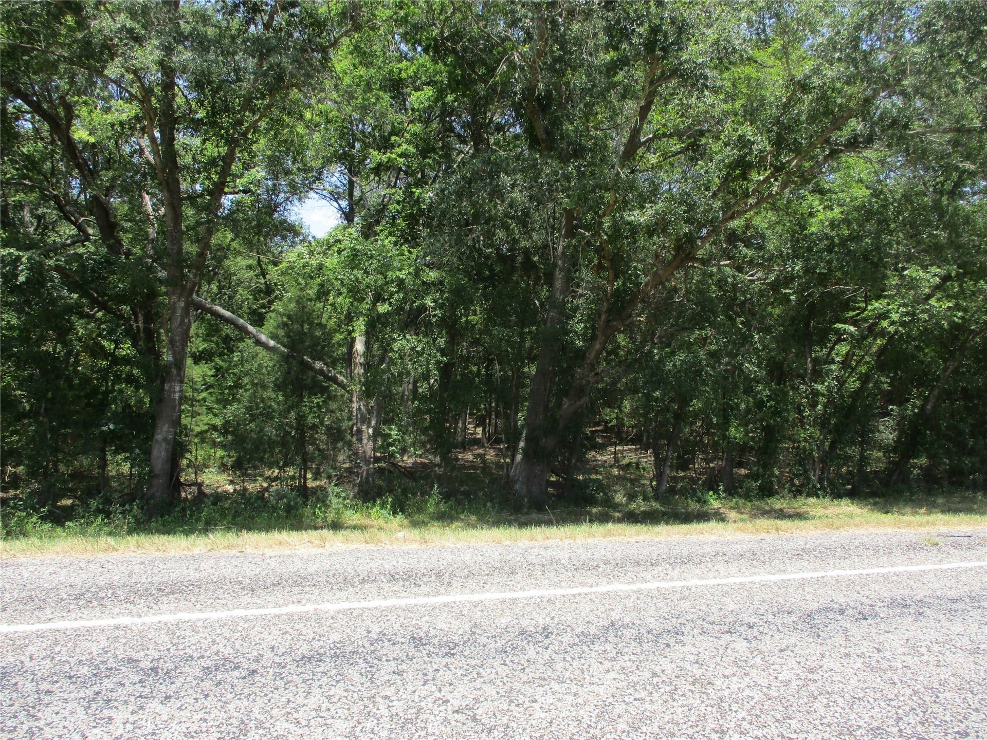 16.8 acres in Rains County - photo 14
