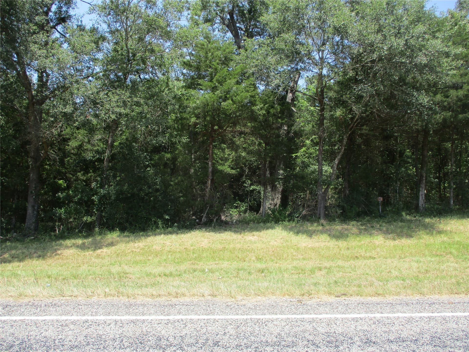 16.8 acres in Rains County - photo 15