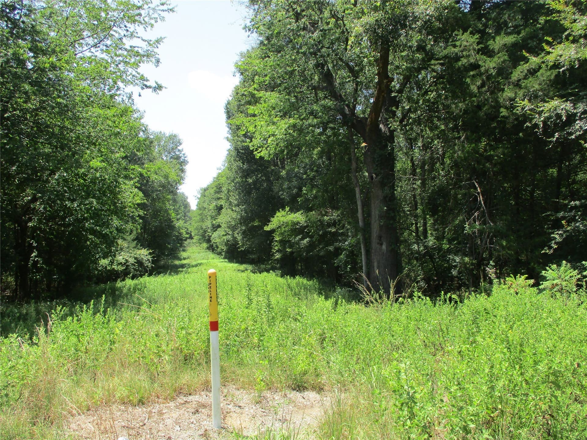 16.8 acres in Rains County - photo 2