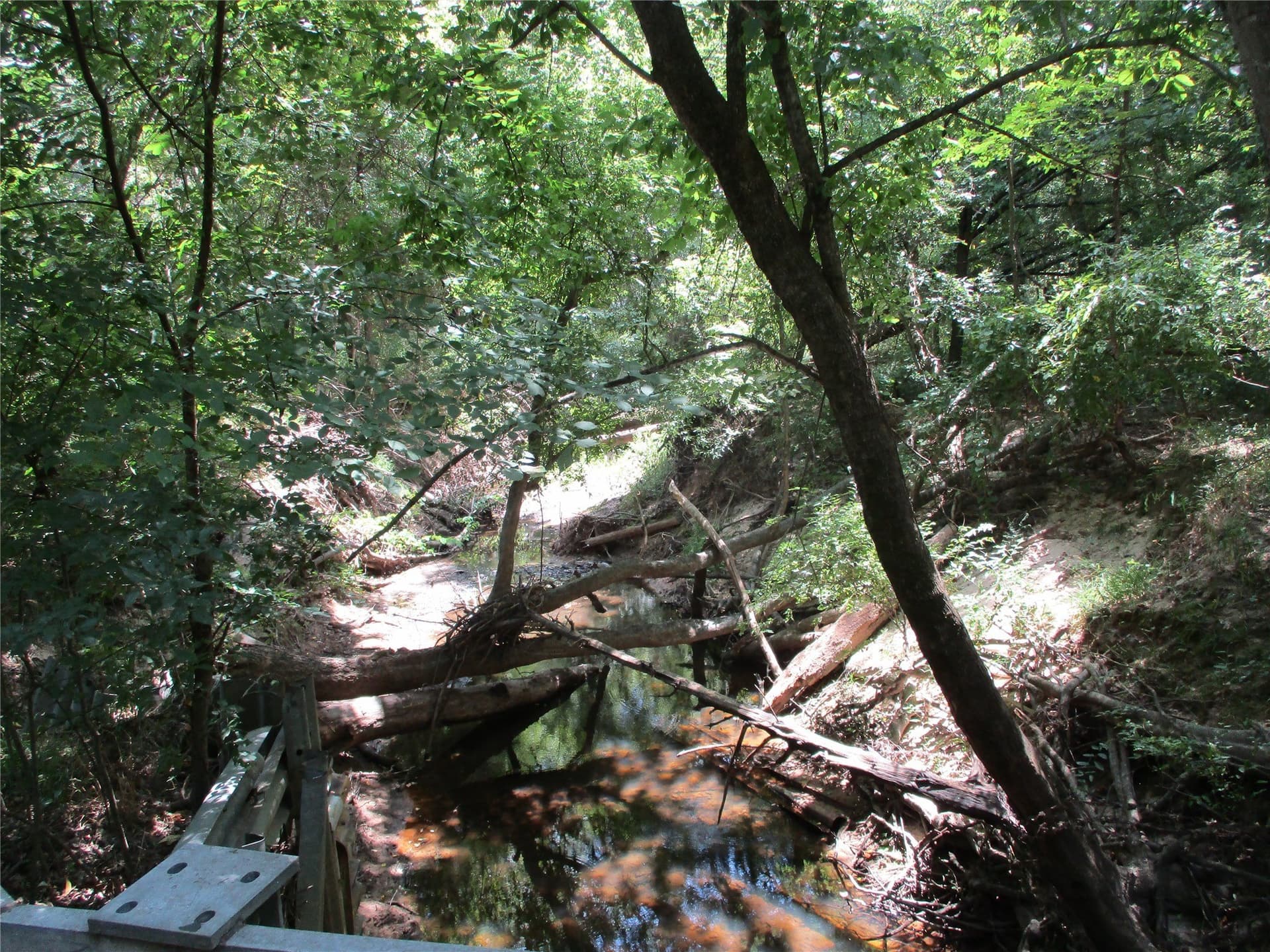 16.8 acres in Rains County - photo 12
