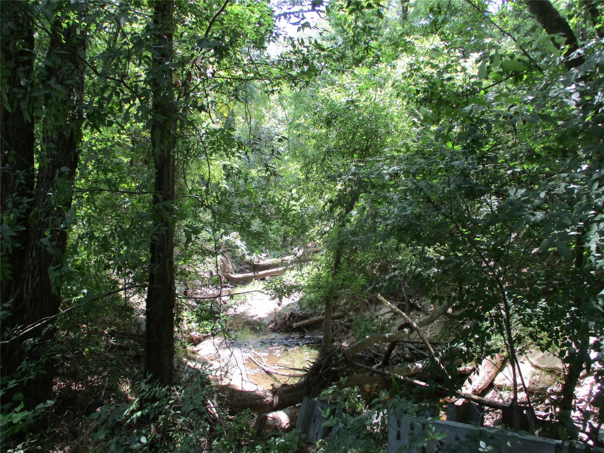 16.8 acres in Rains County - photo 11