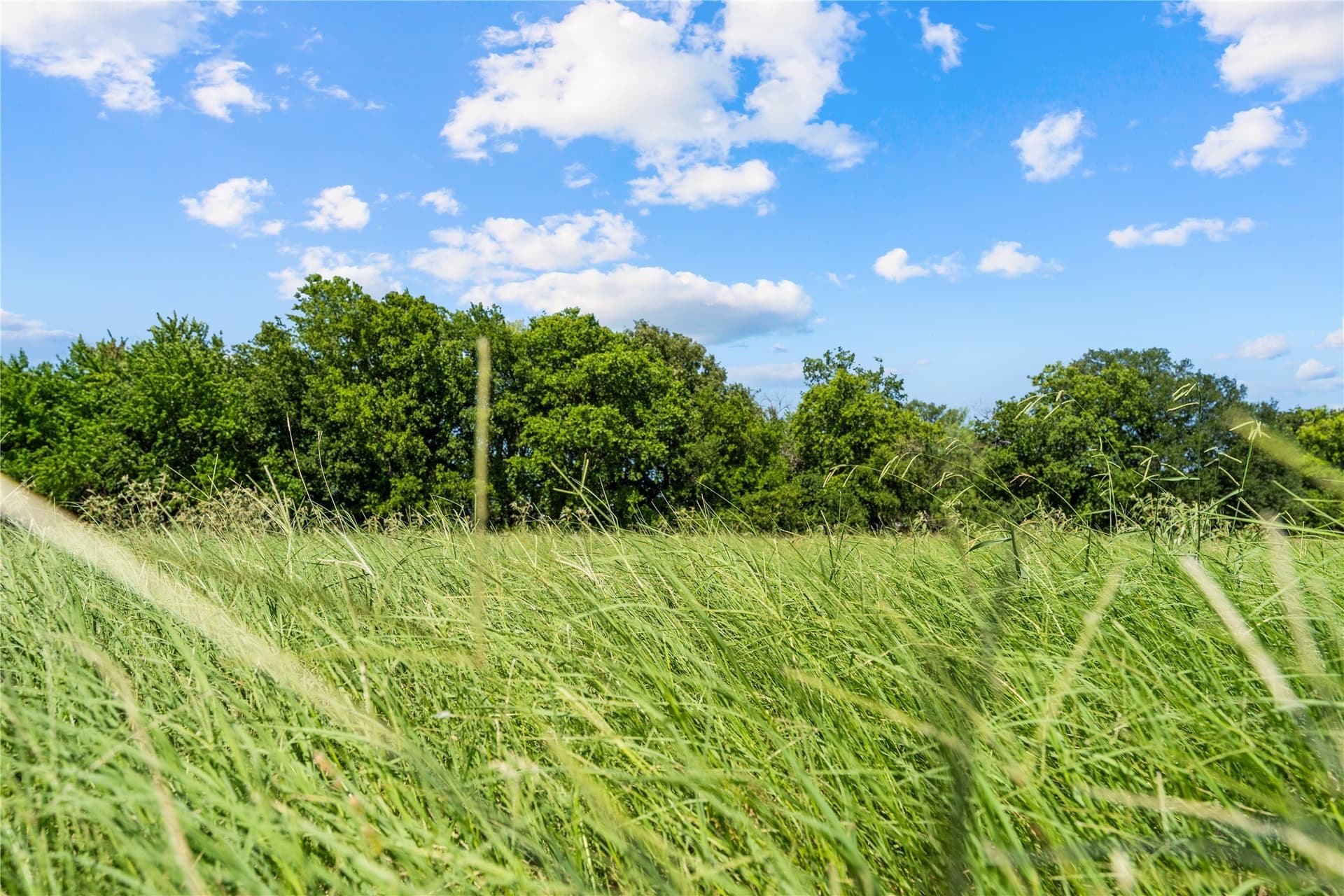 1 acres in Hill County - photo 3