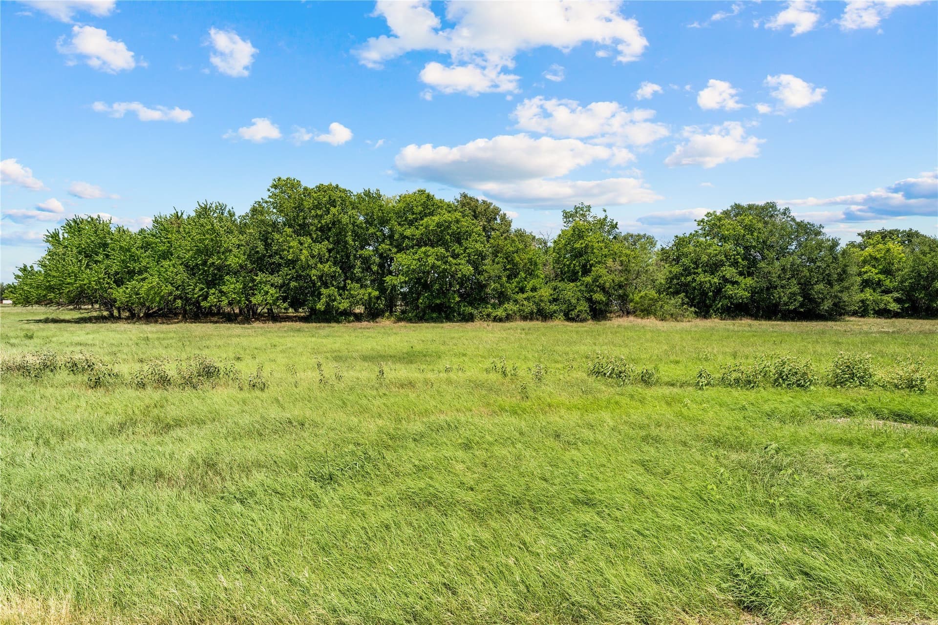 1 acres in Hill County - photo 2