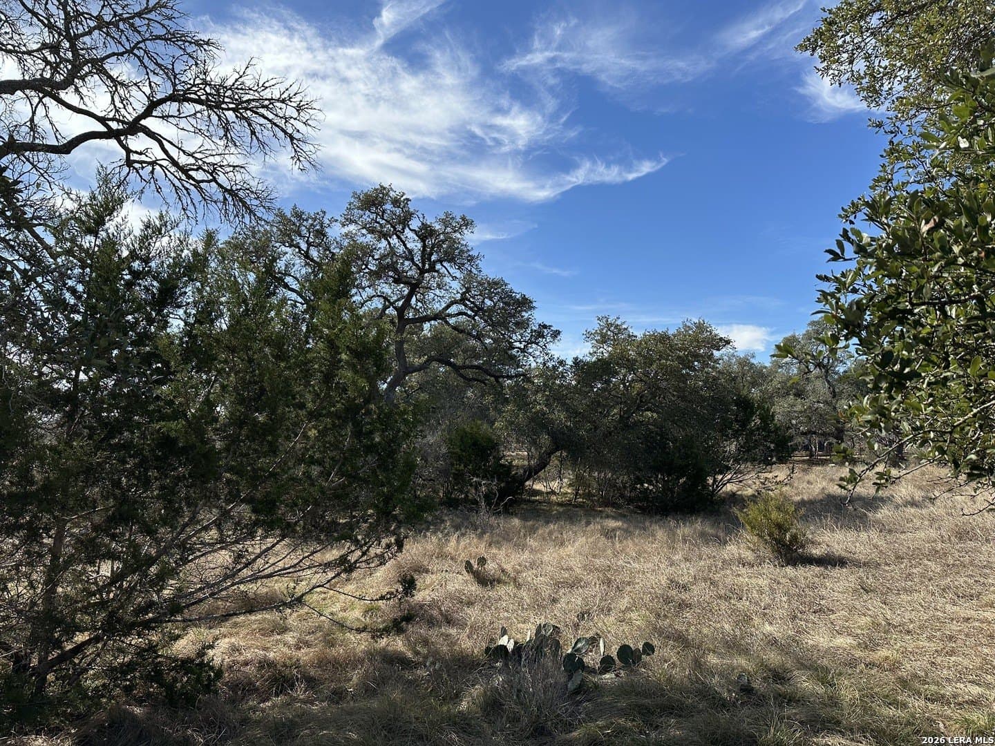 0.2 acres in Blanco County - photo 18