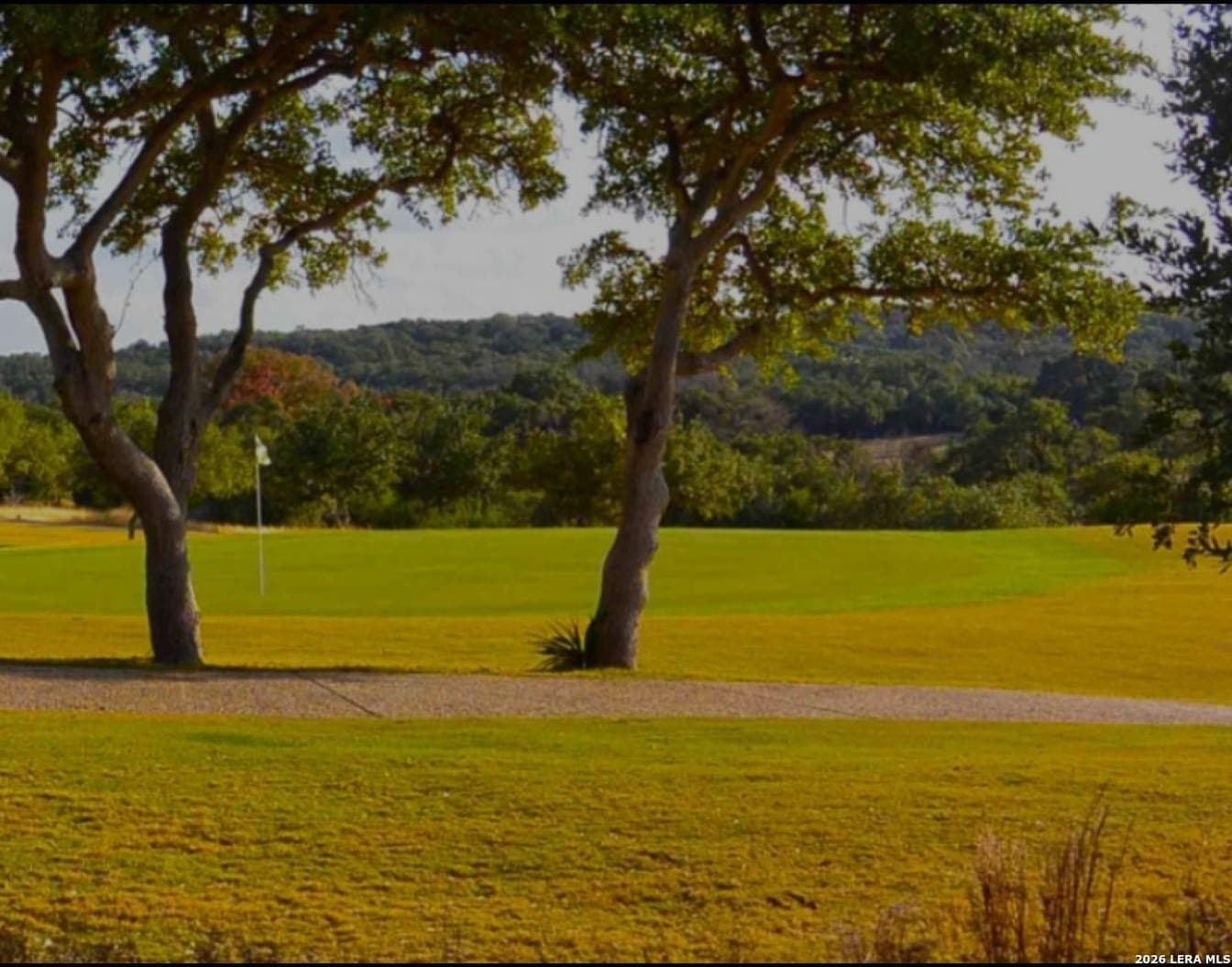 0.2 acres in Blanco County - photo 10