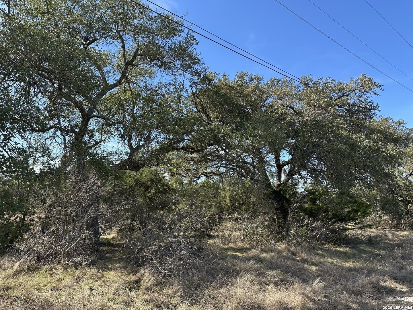 0.2 acres in Blanco County gallery image 4