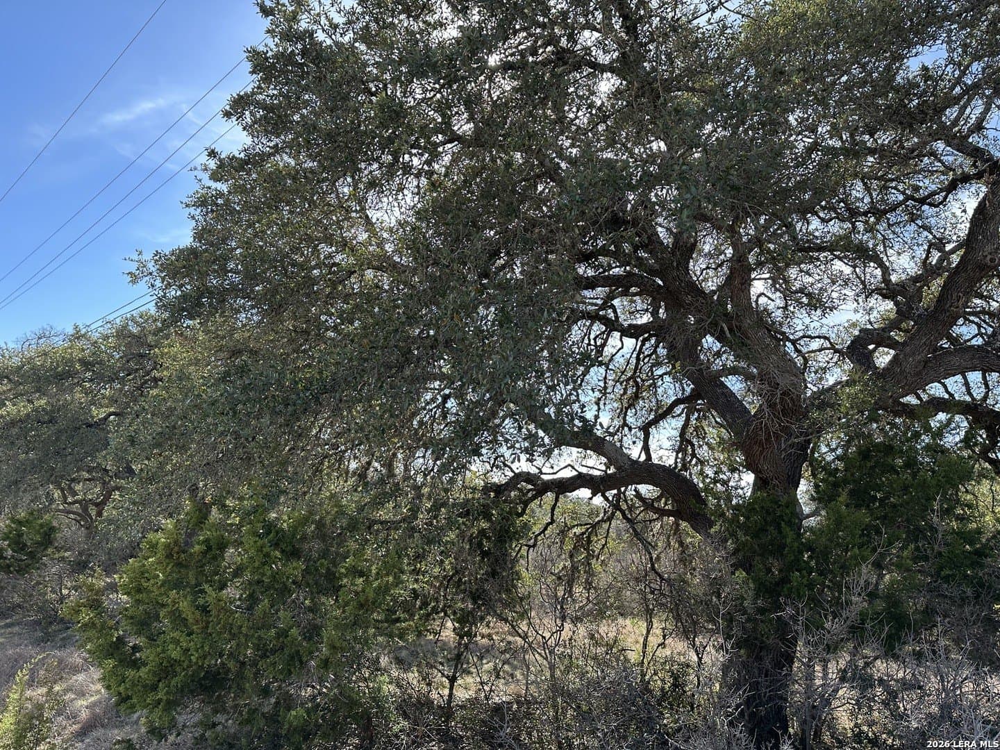 0.2 acres in Blanco County featured view