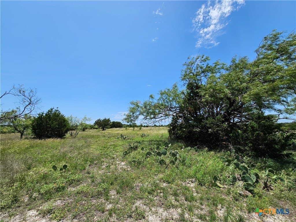 5.31 acres in Burnet County gallery image 2